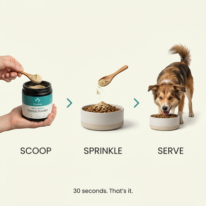 Luma™ Dental Powder