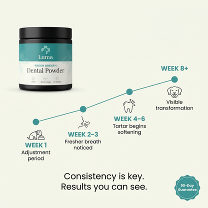 Luma™ Dental Powder