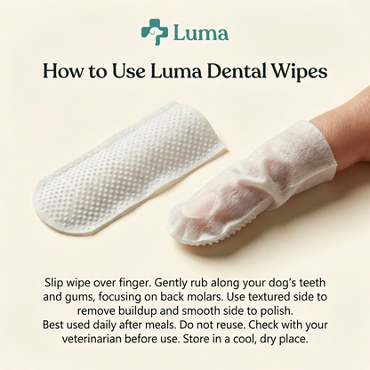 Dental Care Wipes